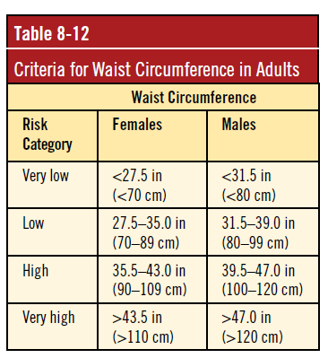 How to Measure Hips and Waist Ratio